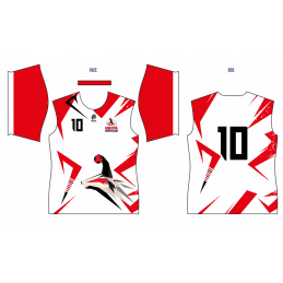 MAILLOT JOUEUR MATCH - ENFANT